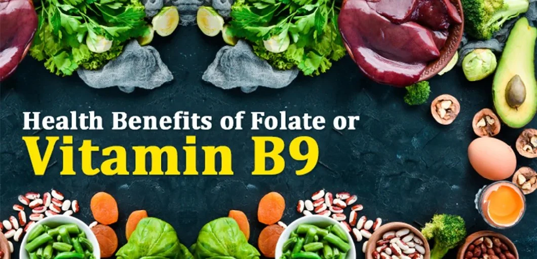 Folic Acid	Vitamin B 9 59-30-3 Essencial Vitamin with Great Price