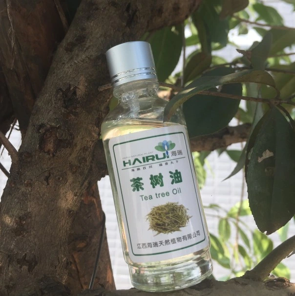 Safe Essential Oil Tea Tree for Soap Face Cream Moisturizer Deodorant Disinfectant Air Fresher Aronatherapy Tea Tree Oil