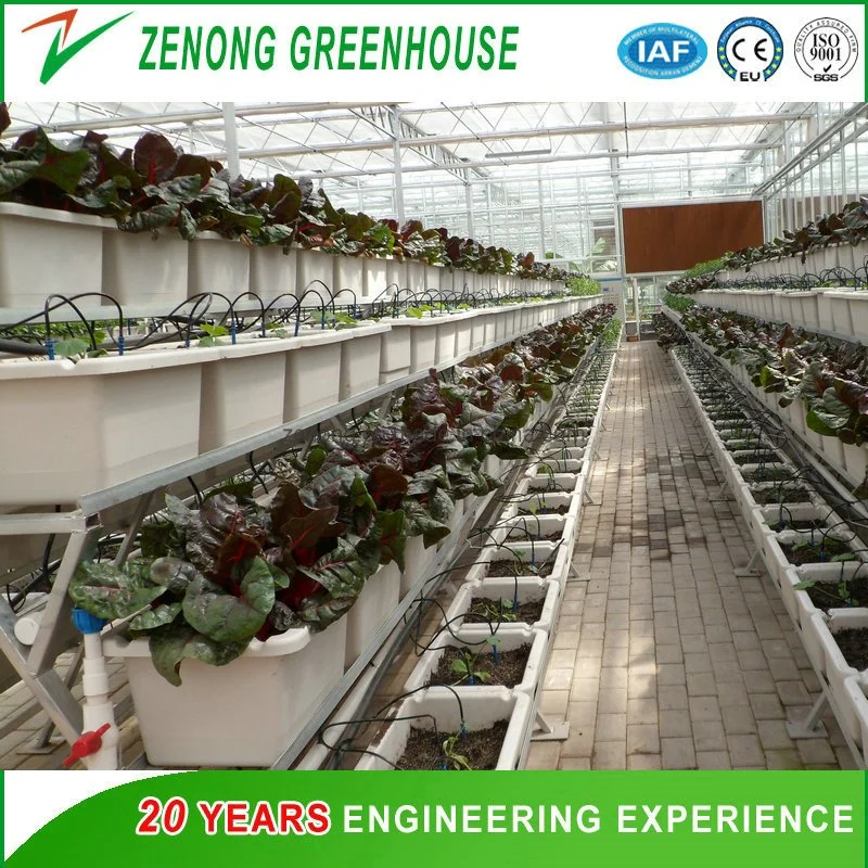 Vertical Dwc Hydroponic Channel System in Greenhouse and Farm Nft Channels for Hydroponics Growing