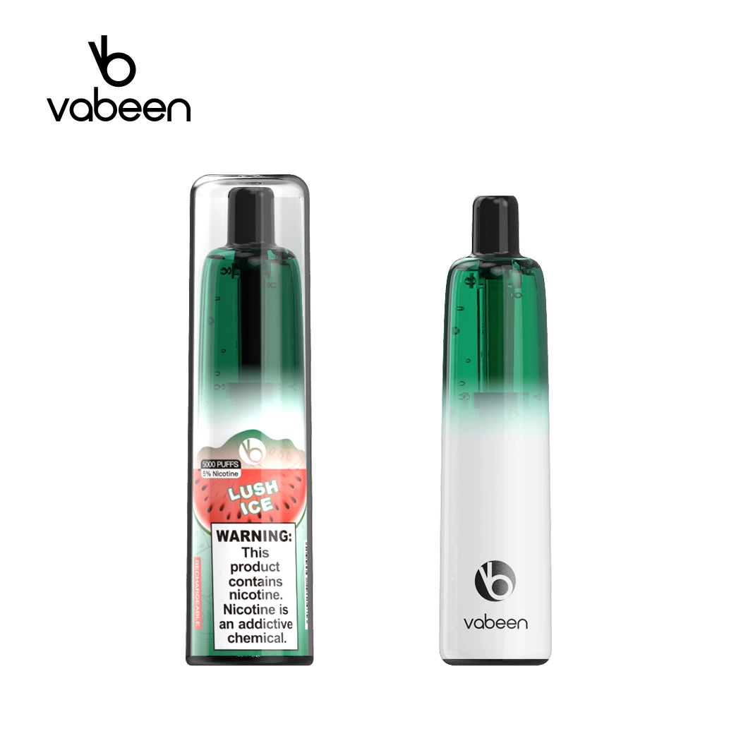 Vabeen Plum 5000 Puffs Rechargeable Disposable/Chargeable Vape Bar High Level Tastes with Vfelling Mesh Coil