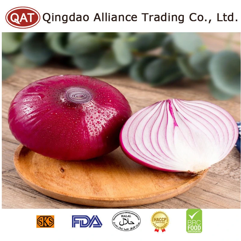 Top Quality Fresh Peeled White Purple Onion Fresh Vegetables Onion with Good Price