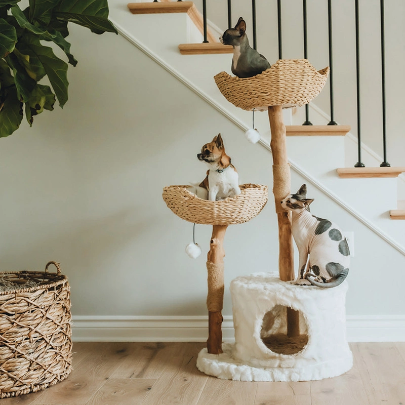 Arbre à chat en bois naturel de vente chaude, maison de chat en paille pour animaux de compagnie