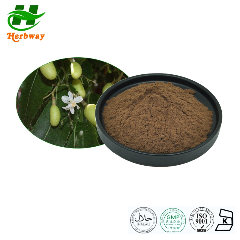 100% Pure Natural Neem Tree Extract Azadirachtin 10% 25% pó menor pressão arterial e colesterol.