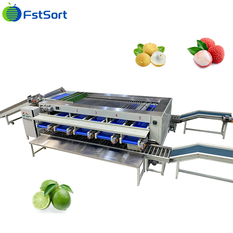 Fstsort Factory Price Olive Sorting Grading Machine Fruit Sorter Grader/ Lychee Grading Classifying Machine/ Olive Caper Grading Sorting Machine