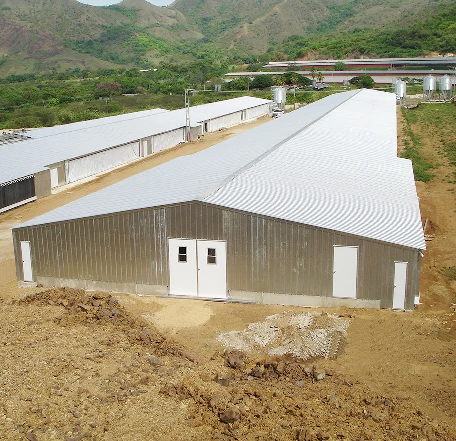 Kits de armazenamento pré-fabricados para construção de estruturas de aço pesado de estrutura de aço elevada Abrigo preço da oficina Preprefácio Metal Building Hangar Light Steel Structure Armazém