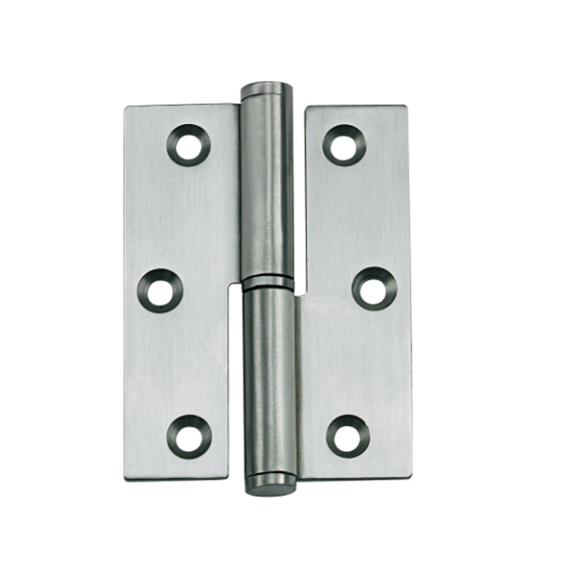 Sample Available SS304 2bb Cabinet Door Insert Spring Hinge