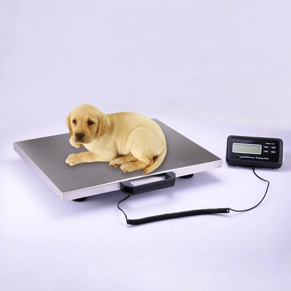 Balance en acier inoxydable PET pour animaux de haute qualité avec Prix inférieur