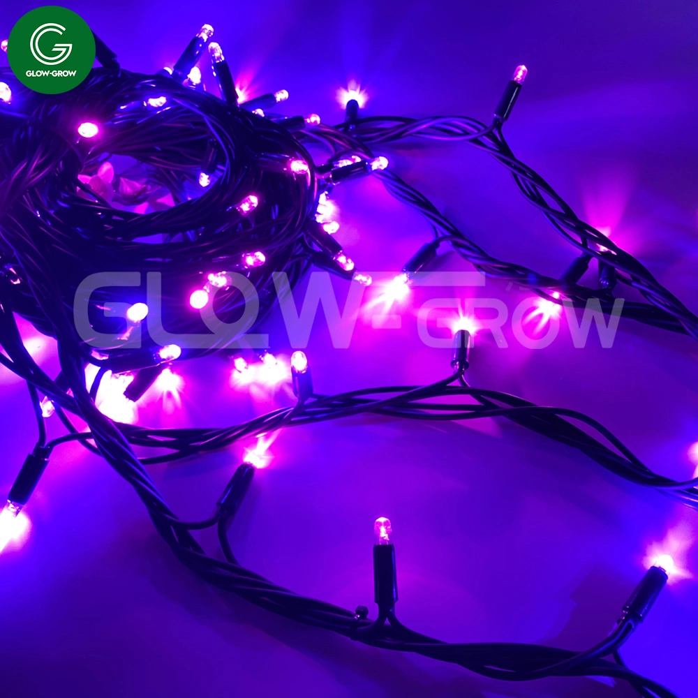 A fábrica LED roxo Luz String Garland Luz com marcação CE Cabo de Borracha para Home Xmas Natal Árvore de Halloween Decoração de férias