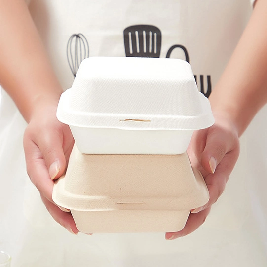 Biodegradable Burger Box Custom-Made Biodegradable Disposable Lunch Box, Takeaway Box