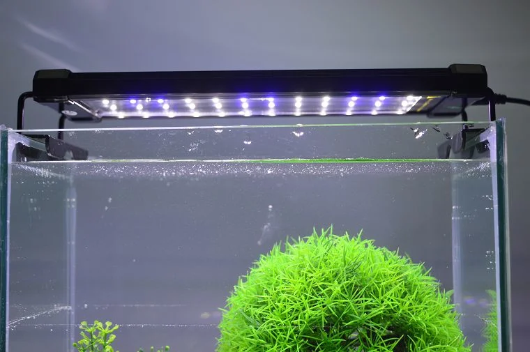 Hotook OEM&ODM 6W Fish Tank Plant 110V 220V RGB Coral Reef LED Aquarium Light