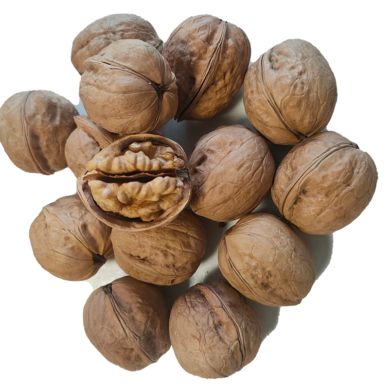 2022 New Corp Xinjiang Thin-Skin Shelled Walnut with Shell