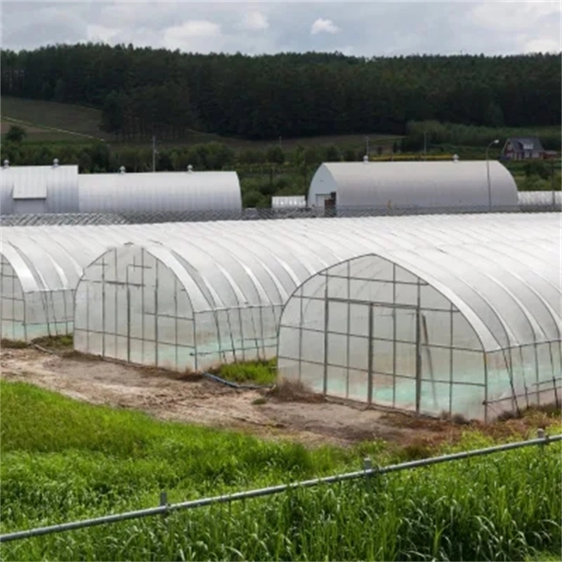 Multi Span Film Greenhouse con refrigeración/ Sombreado/riego China Supplier