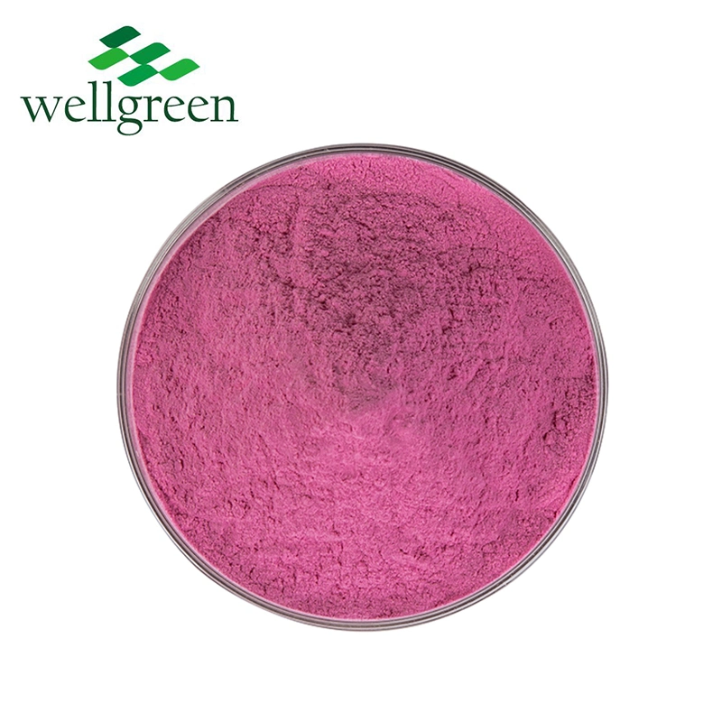 Seeds Dried Juice Extract Fresh Jordan Bulk Hybrid Beetroot Juice Powder Supplement Beetroot Powder