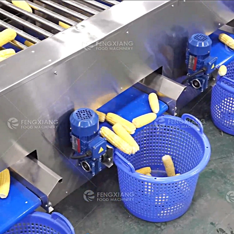 Potato Grader Bulbous Fruit and Vegetable Sorting Machine