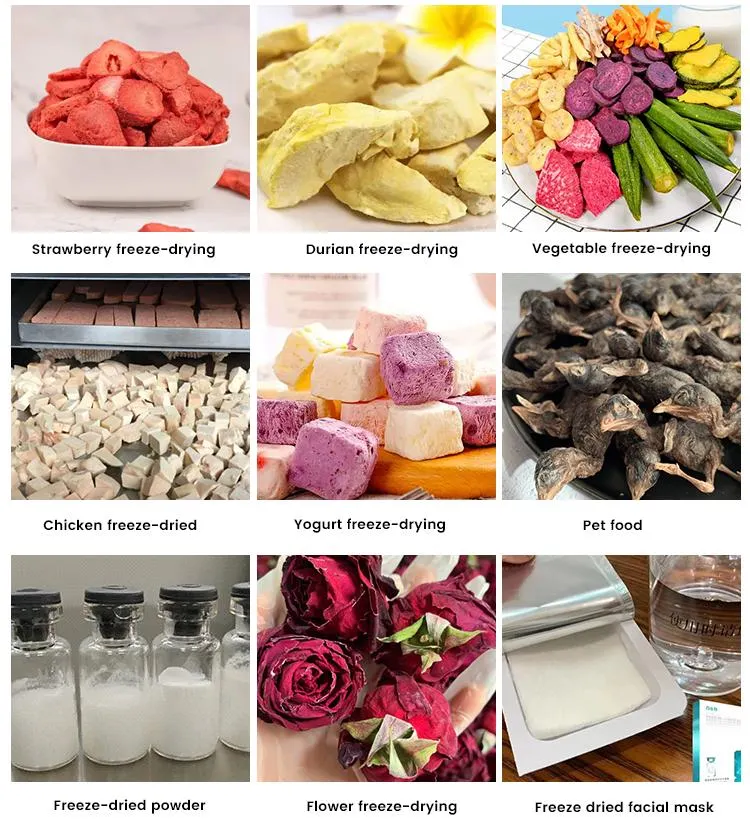 Tianhe Food Fruit Lyophilizer Fruit Vegetable Vakuum Gefriertrocknungsmaschine