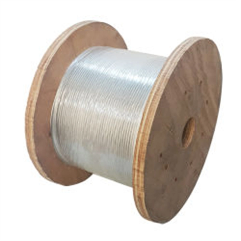 Hot Selling High quality/High cost performance  Stainless Steel Wire Rope AISI ASTM Ss 302 304 304L 316L 310S 309 410 420 904L Stainless Steel Wire Chinese Factory Supply