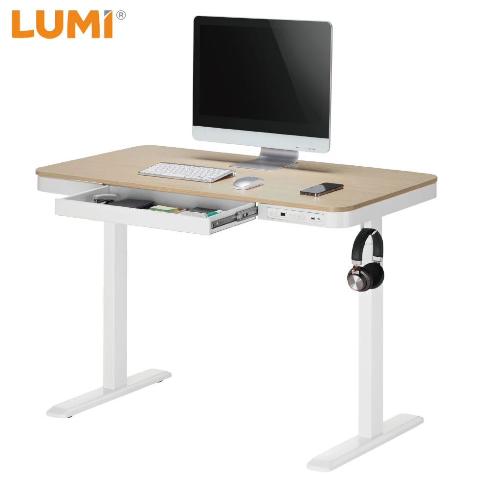 Smart Single Motor Electric Ergonomic Lifting Adjustable Height Gaming Sit Standing Desk with Drawer & USB Ports Home Office Laptop Computer Up Down Raising