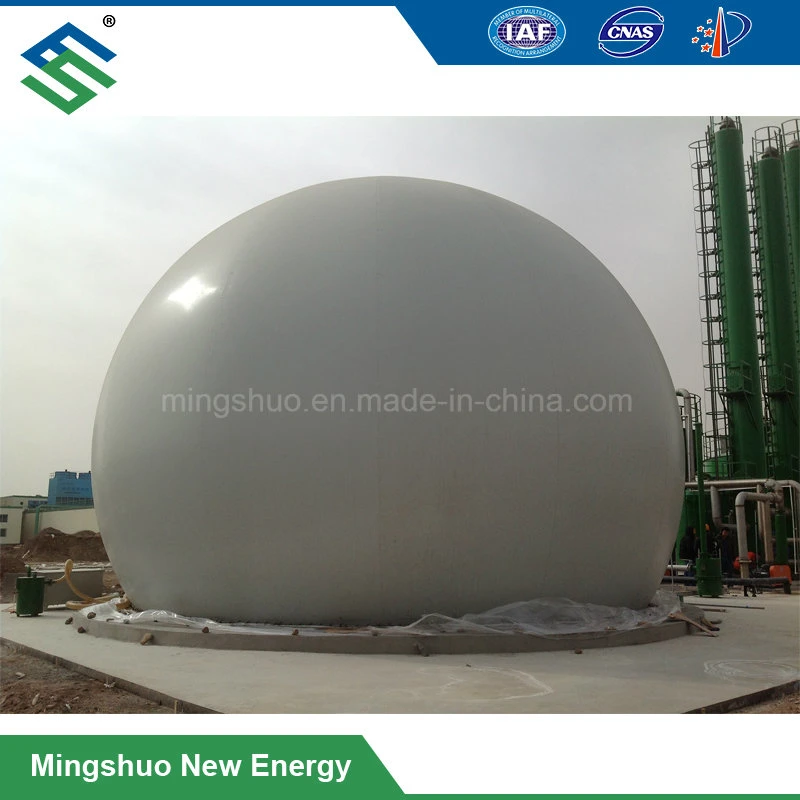 Biogas Storage Bag for Biofuels and Other Gases