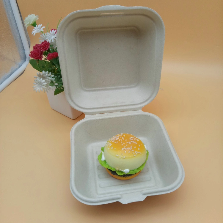 Food Grade Compostable Lunch Box Sugarcane Bagasse Disposable Bio Degradable Container