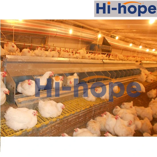 Pollo automático sistema de alimentación para aves de corral de material agrícola Nido de Huevos de potencia del motor