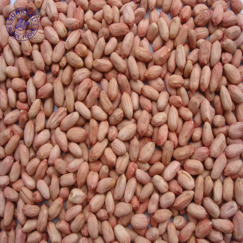 Raw Peanut Kernels /Long Type 24/28 China