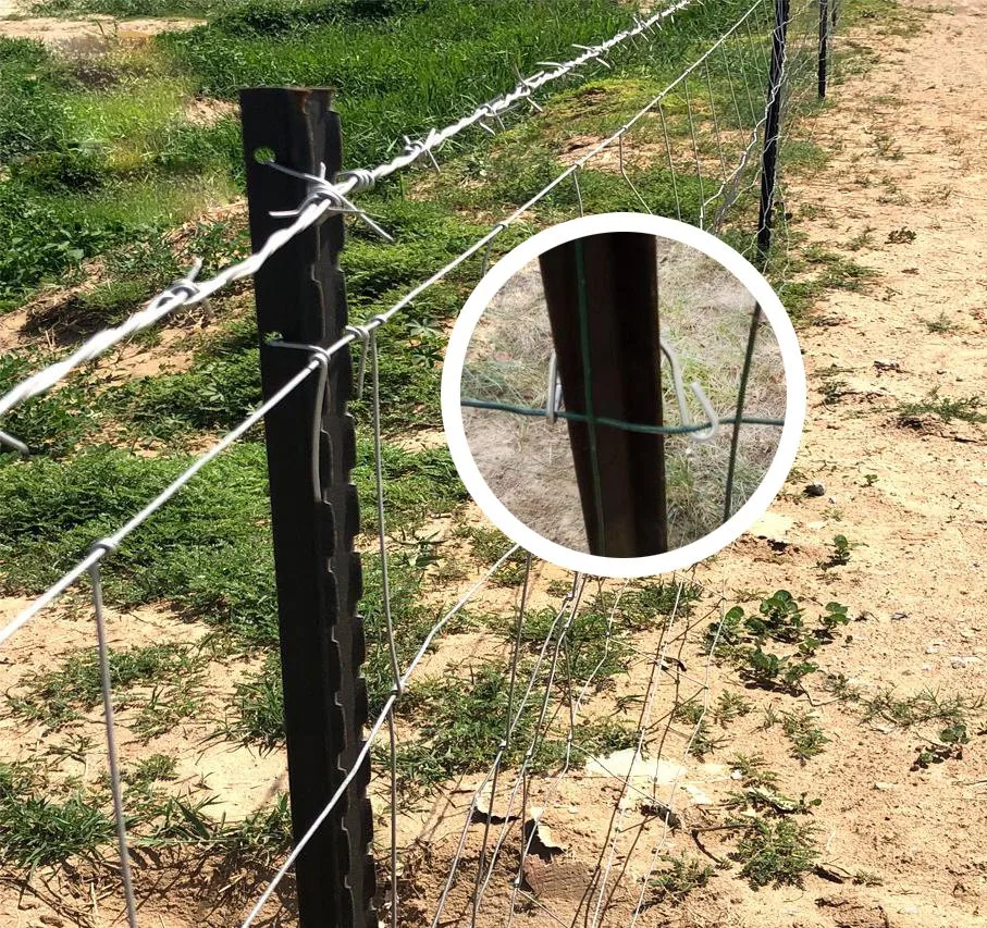 Fence Posts Black Bitumen Y Post Farm Fence Post