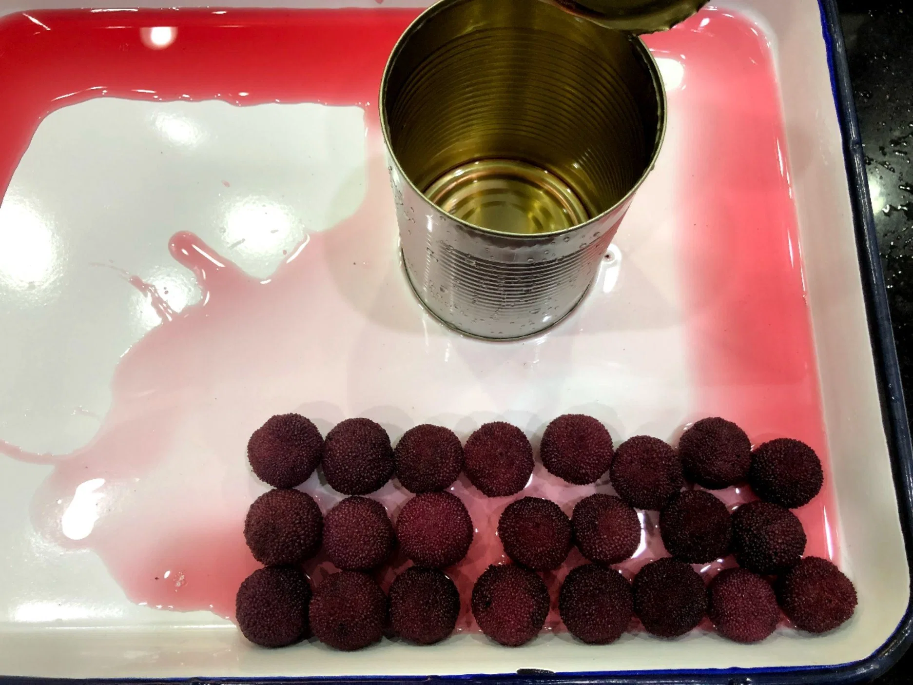 Canned Bayberry in Light Syrup Canned Waxberry Fresh Fruit