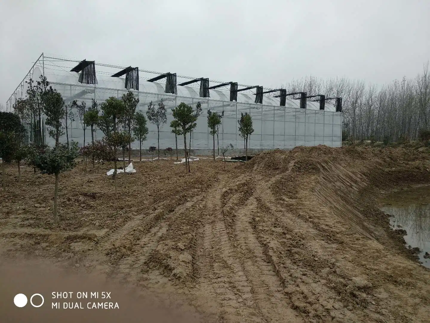 Greenhouse Agricultural Greenhouse The Cheapest Sainpoly Agricultural/Commercial/Industrial Plastic Film Greenhouse with Complete Systems for Sale