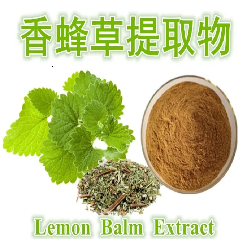 E. K Herb Plant Extract Natural 1%-5% Flavonoids Lemon Balm Extract/Melissa Officinalis Extract