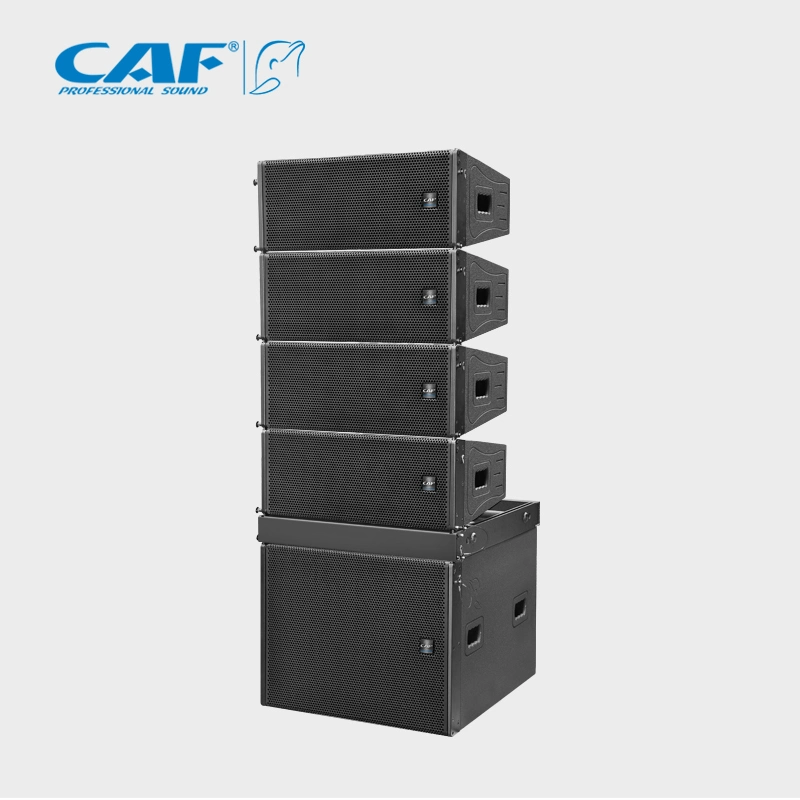 Dual 8inch Bass Mini Passive Line Array Sound System Speaker