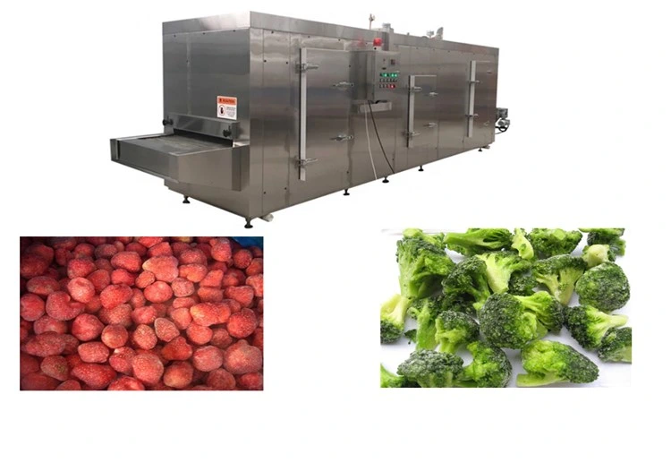 China Manufacturer Vegetable and Fruit Freezing Machinery