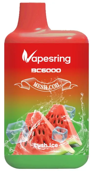 Original Vapesring Bc6000 Puffs Dispsoable Vape Pen vape with 2% Nicotine