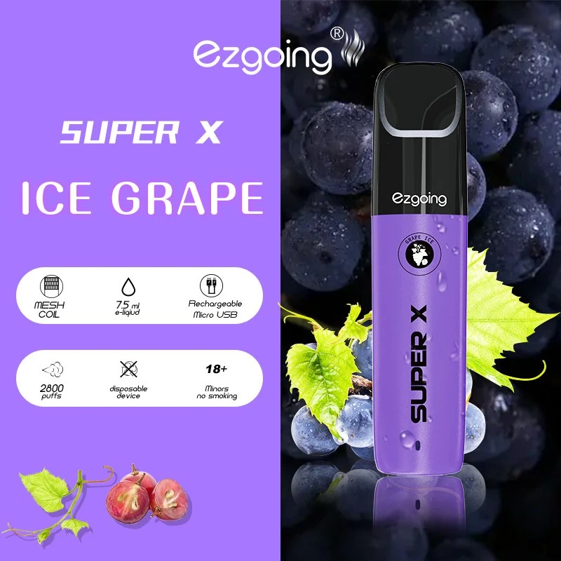 Hottest Ezgoing 2800 Puffs Wholesale/Supplier 5% E Cigarette Mini Disposable/Chargeable Vape Pod