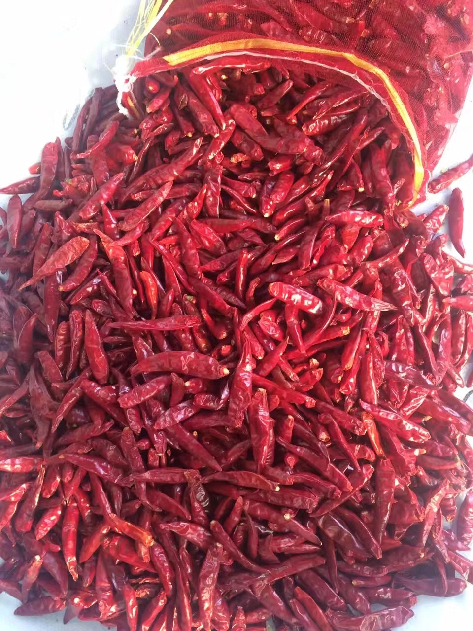 High quality/High cost performance  Factory Supply Red Dry Chilli