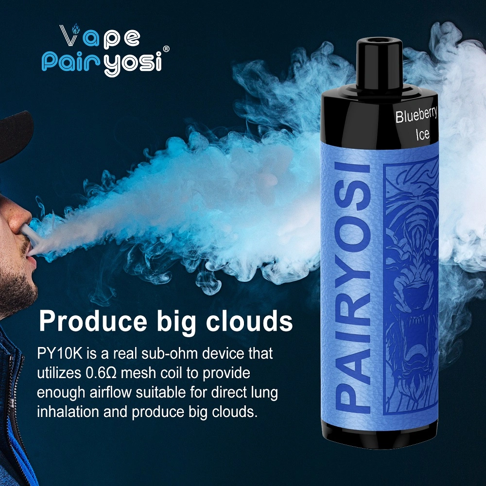 Original Factory Wholesale/Supplier desechable VAPE 10000 Puff 2023 Nuevo diseño Tipo C recargable Ecigs Vapers 10000 Puffs