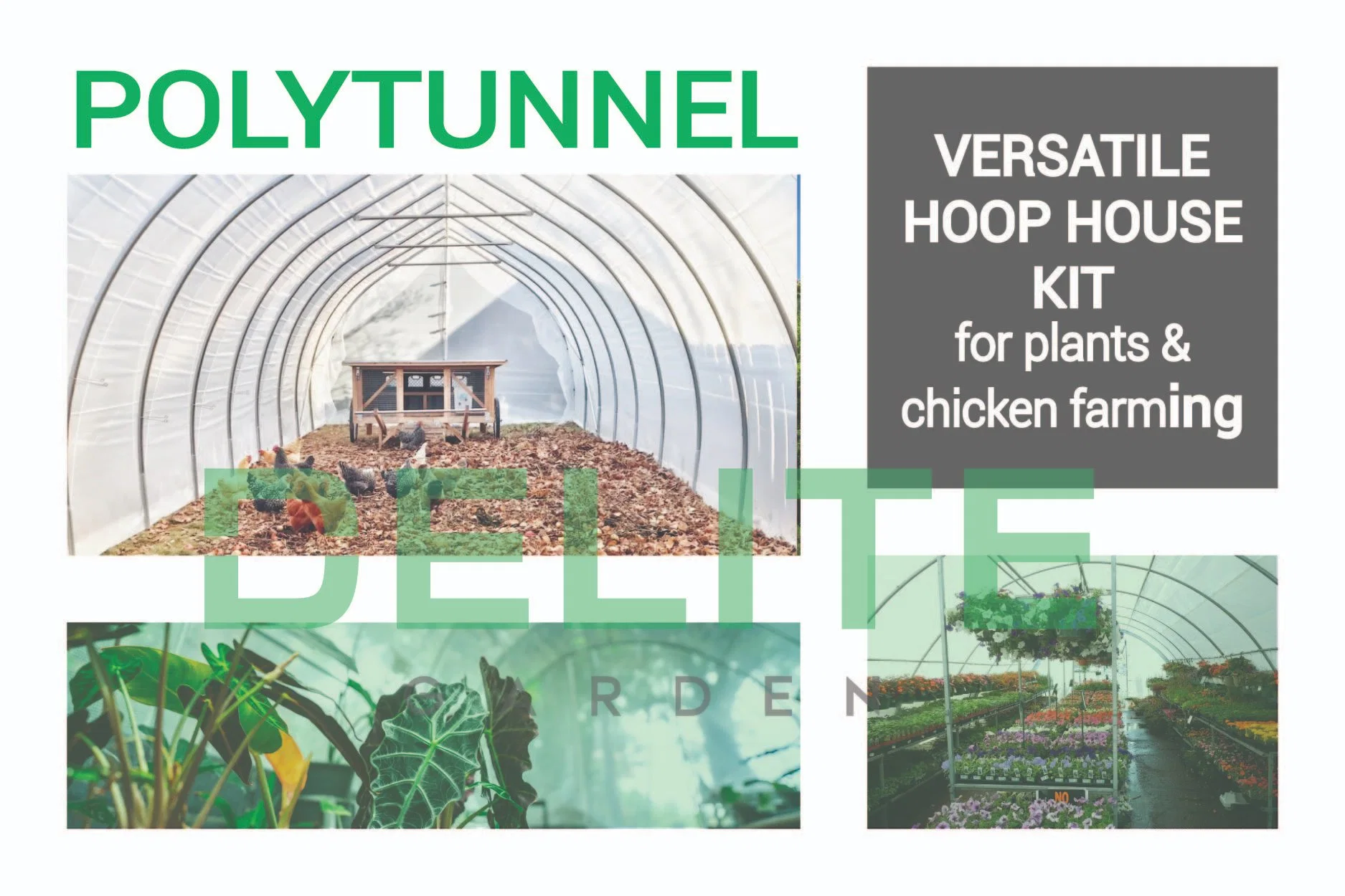 8ft Höhe Polytunnel Gewächshaus Hühnerstall Run Geflügel Farmen Ausrüstung Gartengeräte