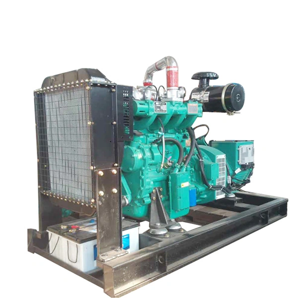 120 kw gas de carbón/gas de vertedero/Generador de Gas Natural/Generar Set/Genset