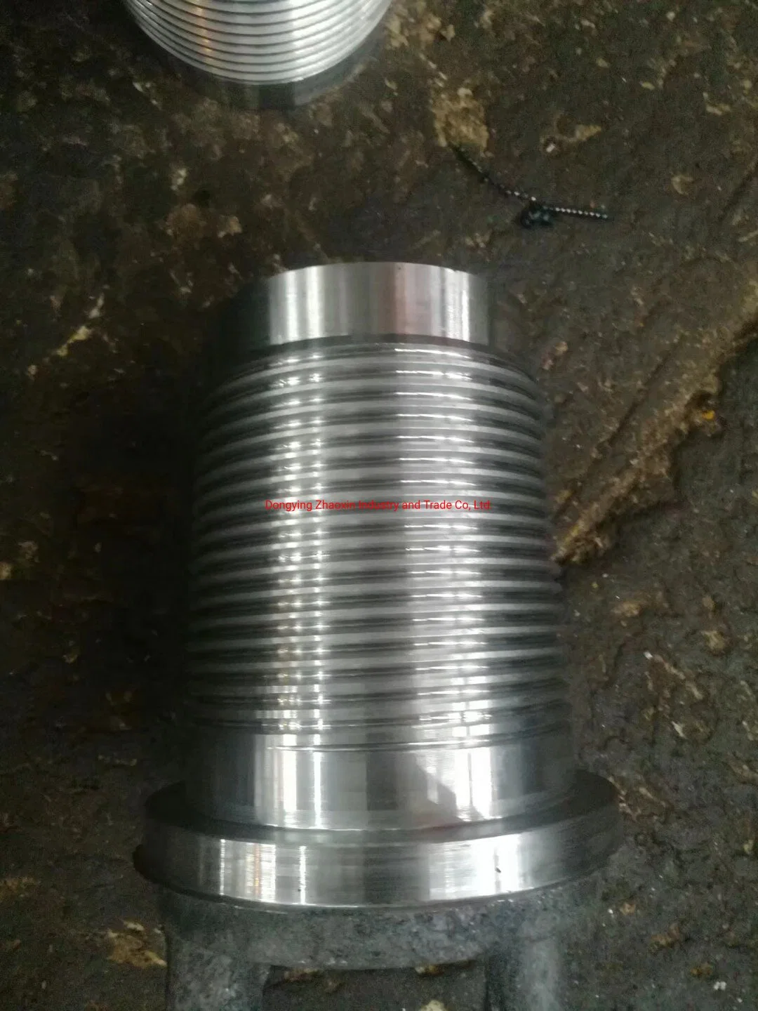 API des outils de forage et de levage de levage standard Plug Cap