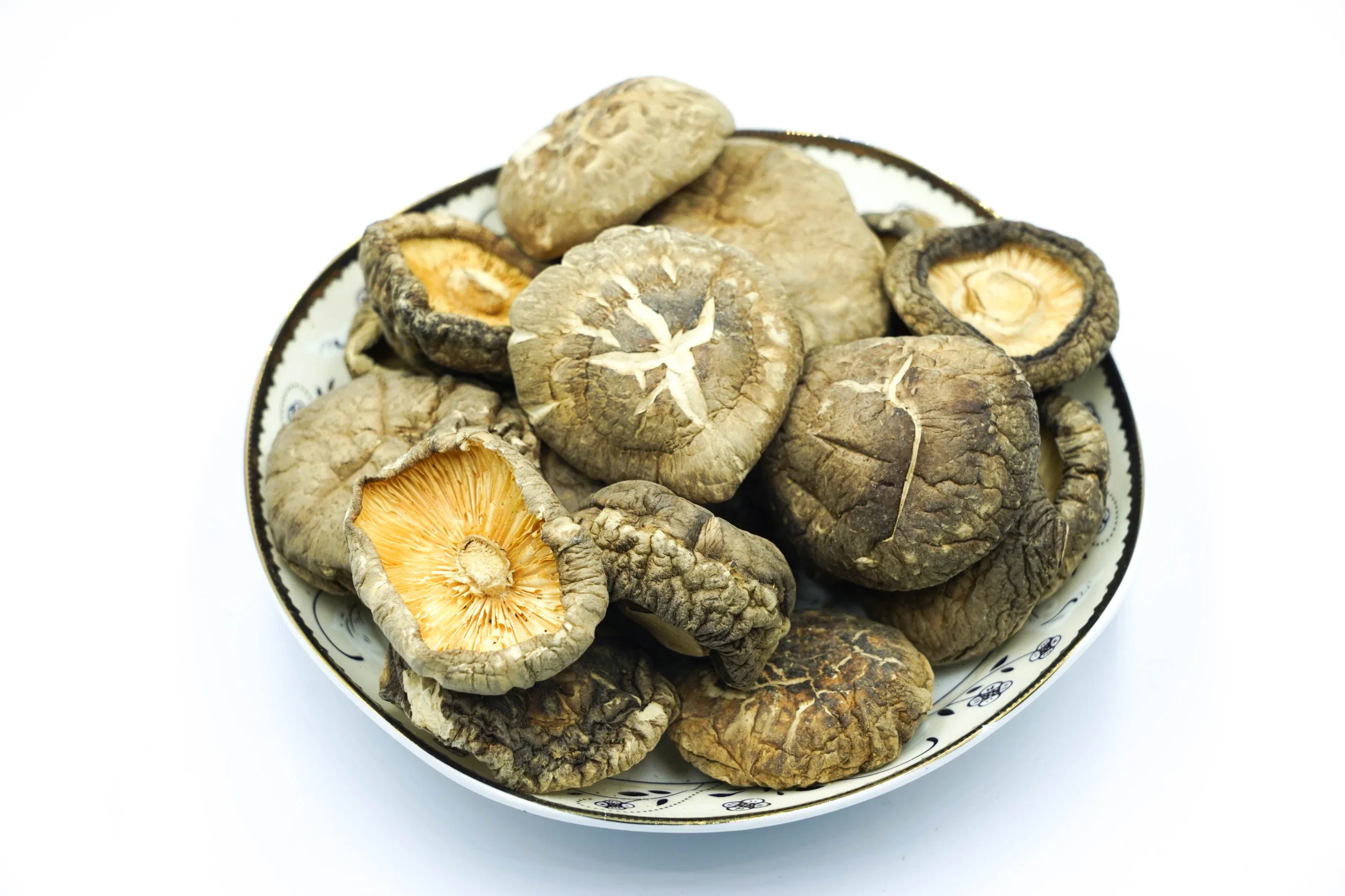 Haute qualité prix de gros de champignons shiitake séchés