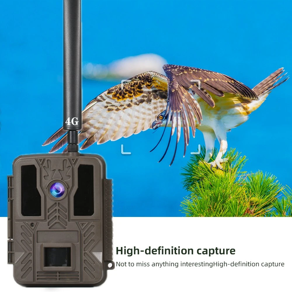 High Quality OEM/ODM 40MP Cellular Outdoor Trail Camera APP Control MMS SMTP FTP 4G Scout Camera for Hunting