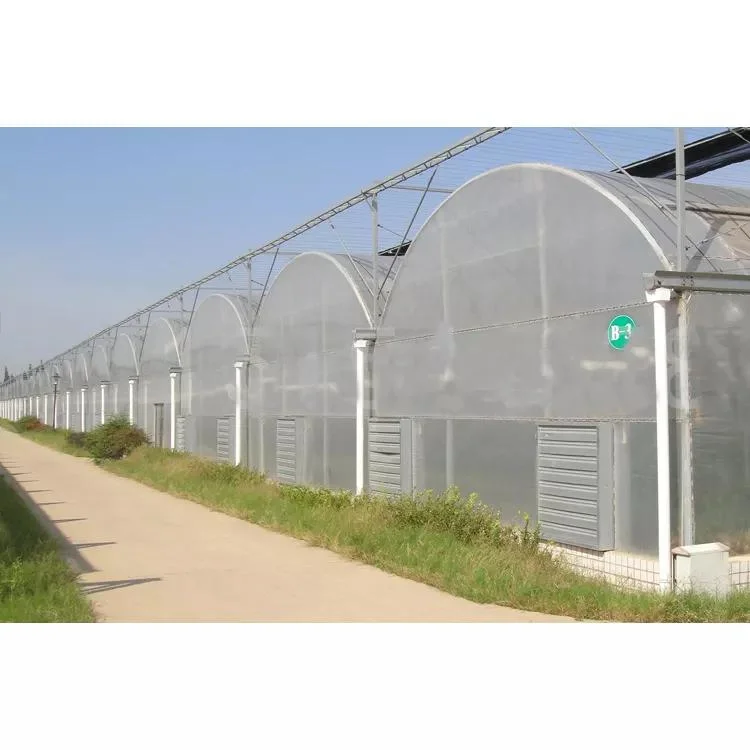 Highly Reflective Metalized Film Agricultural Greenhouses for Sale