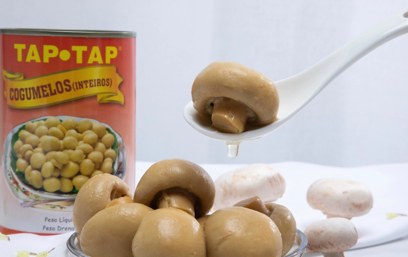 Hot Sale Canned Mushroom Whole 185g*24/CTN