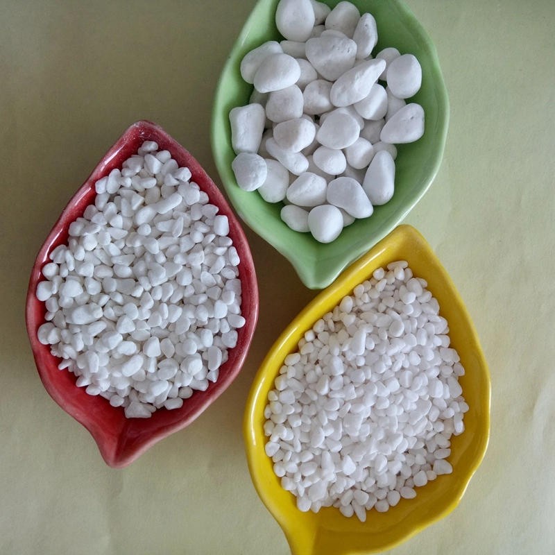 Small Pure White Pebbles/Cobblestone with Low Price