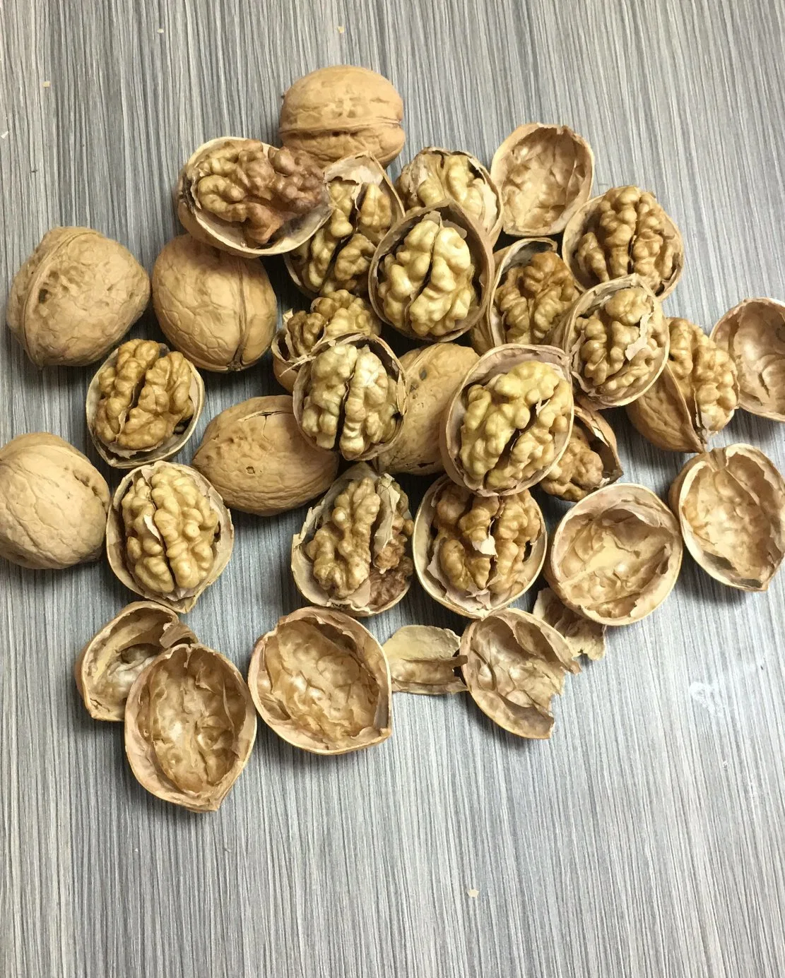 Xinjiang 185 Walnuts Peeling Export and Import Buyers Wholesale/Supplier