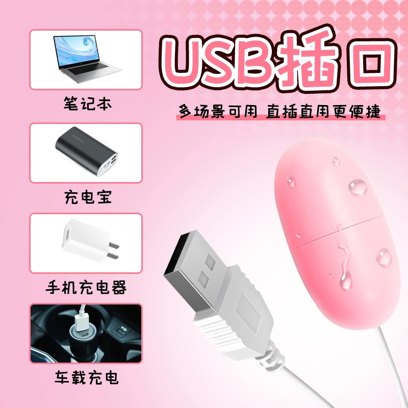 OEM USB Love Egg Sexy AV Toy Strong Vibrator Masturbation