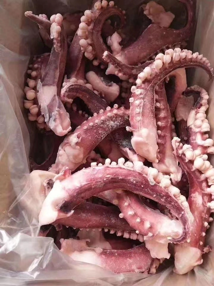 Frozen Seafood Gigas Squid/Calamar Pota Tentacle with Good Price