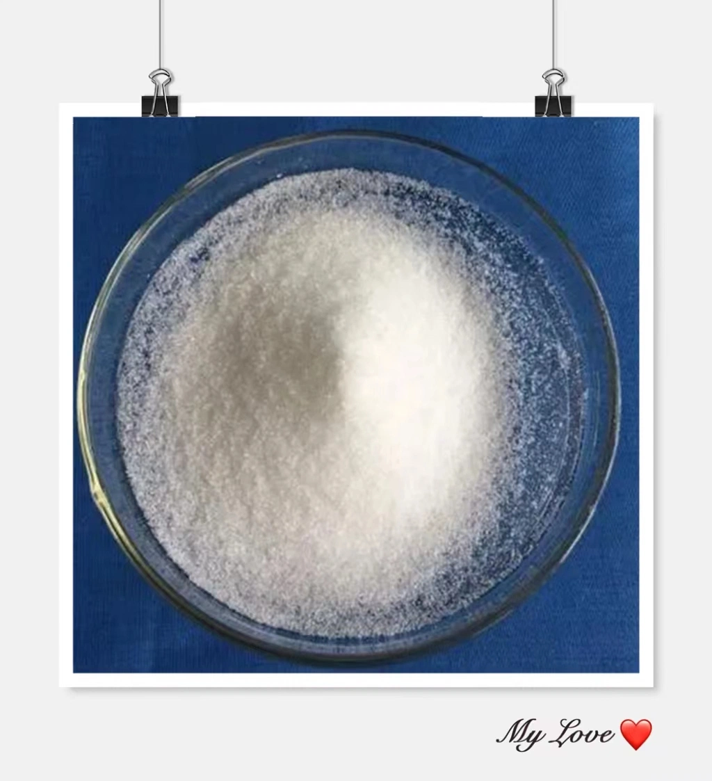 Food Grade Citric Acid Monohydrate Powder 8-40 Mesh Manufacturer Price