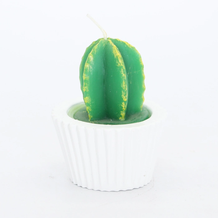 Custom Creative Paraffin Succulent Plant Cactus Candle