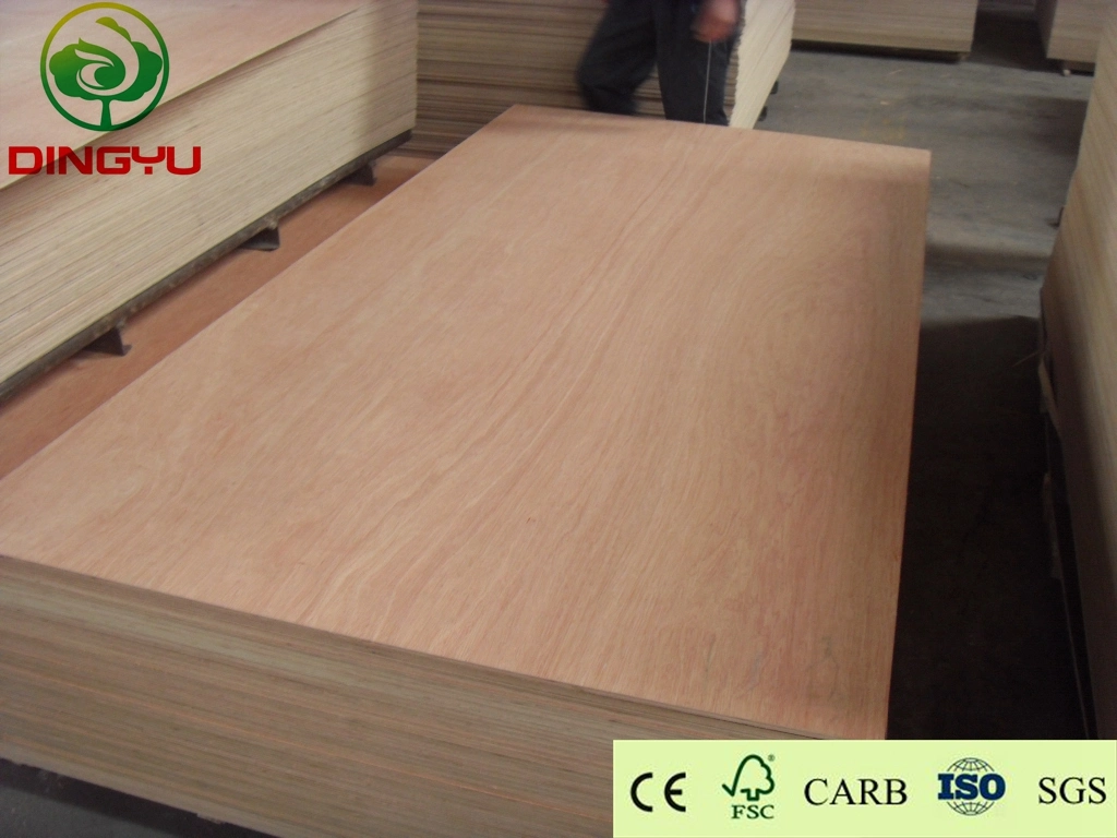 Good Quality Bintangor Face/Back Plywood Okoume Plywood Hardwood/Poplar Core