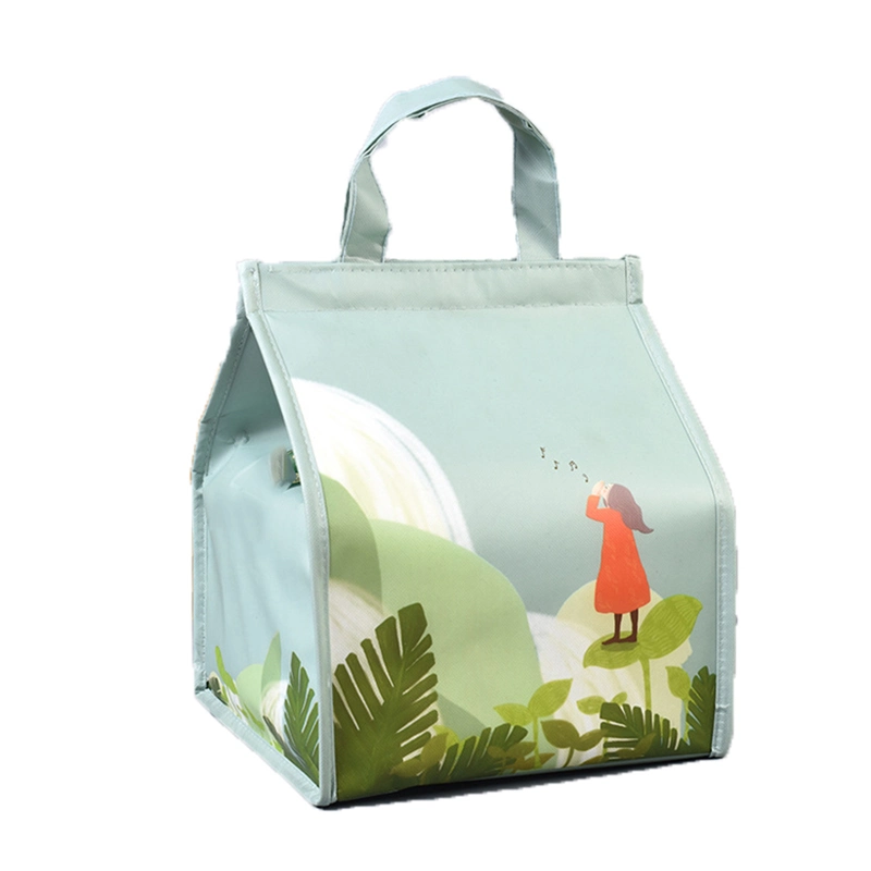 Insulated Made Logo Nonwoven Aluminium Thermal Disposable Picnic Wine Ice Cooler Bags